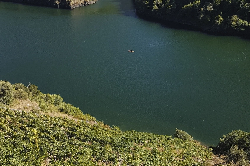 Pantano