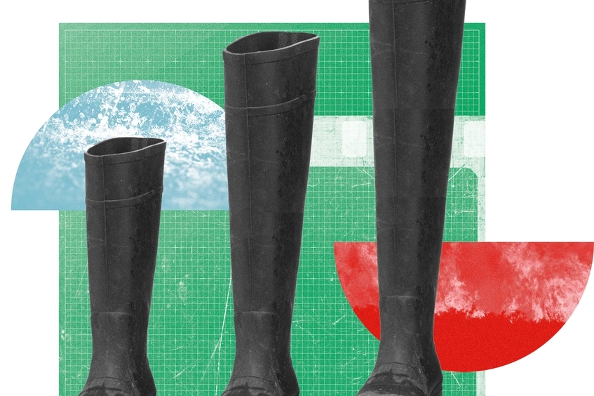 Botas