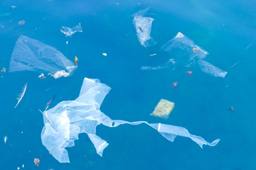 bolsas de plástico al mar