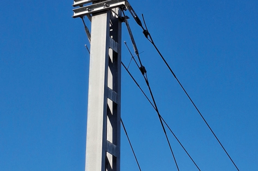 Cigüeñas