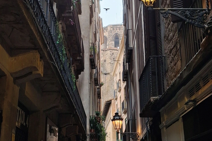Calle
