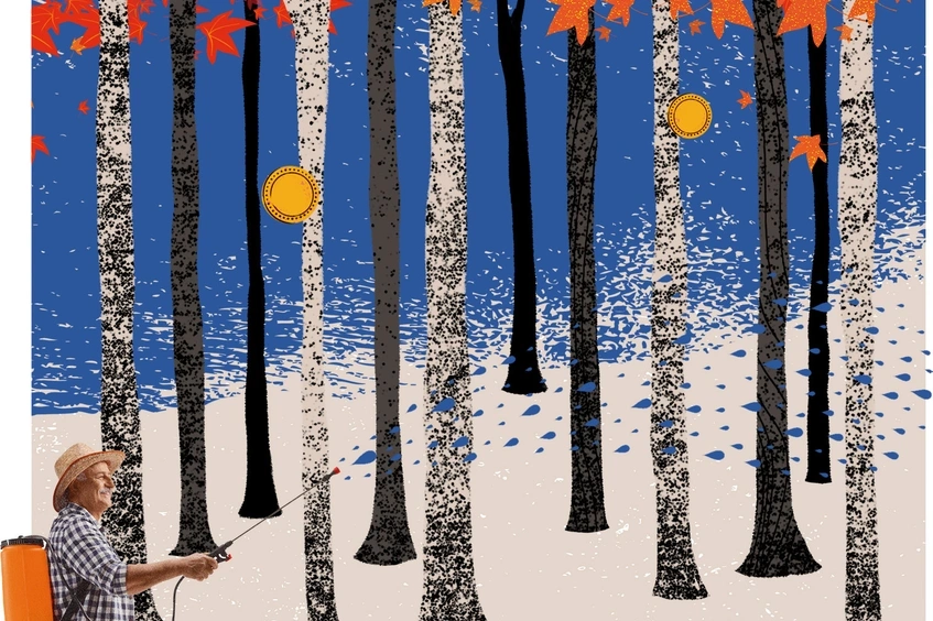 bosque