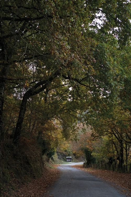 Movilidad verde imperativa