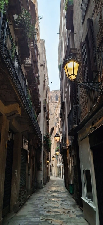 Agustí Carbonell