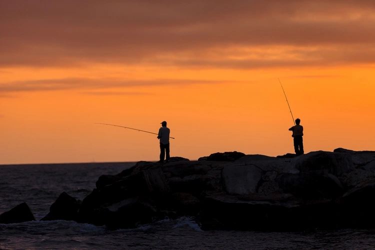 Pesca recreativa