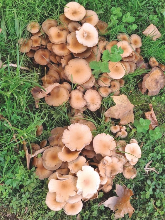 La foto de Agustí Carbonell