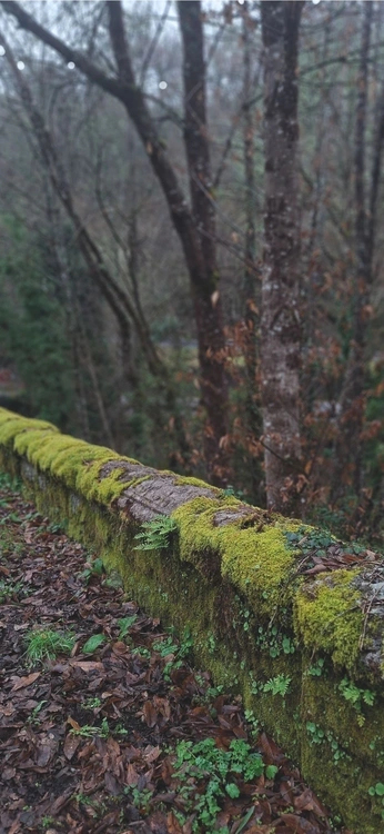 La foto / febrero 26