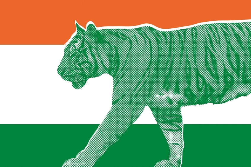 Tigre sobre bandera de India
