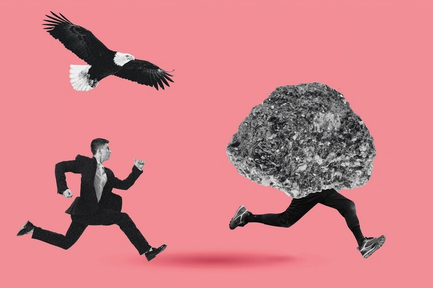 carrera tierras raras