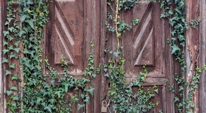 Puerta Agustí
