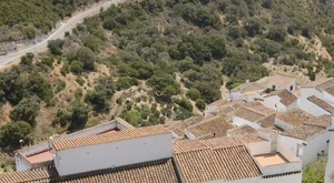 Rural