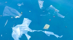 bolsas de plástico al mar