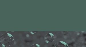 Portada La servidumbre de los protocolos