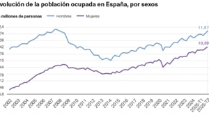 puestos de trabajo