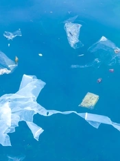 bolsas de plástico al mar